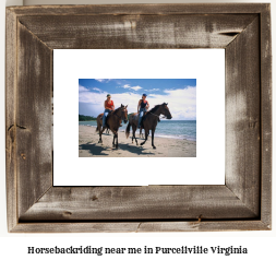 horseback riding near me in Purcellville, Virginia